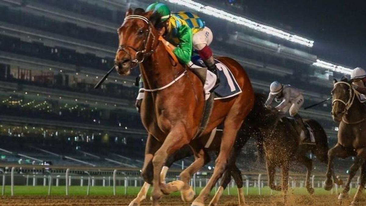 Military Law will be among the top contenders at the Saudi Cup. (Dubai Racing Club)