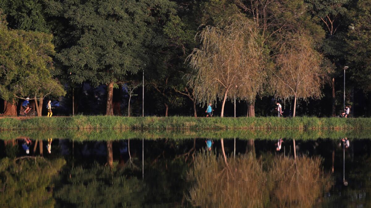 People run and walk at the Ibirapuera Park after it reopened as the city eases the restrictions imposed to control the spread of the coronavirus disease, in Sao Paulo, Brazil. Photo: Reuters