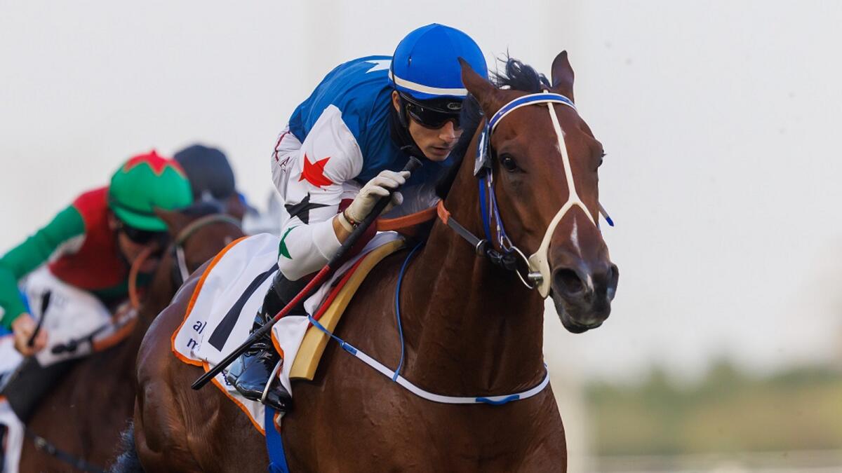 Dahawi has won both his starts in stirring fashion at Meydan this season and will bid to complete a hat trick of wins in a competitive running of the G2 Blue Point Sprint. (ERA)