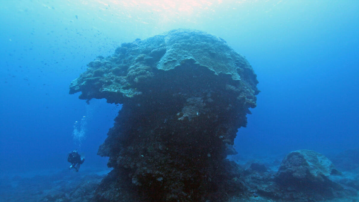 This undated handout picture released on September 20, 2016 by CNA shows a a diver under the Big Mushroom in the water near the Green Island. Divers say a towering coral known as the 'Big Mushroom' at the heart of a world-famous dive site in Taiwan has been toppled after Typhoon Meranti struck on September 14, 2016. AFP