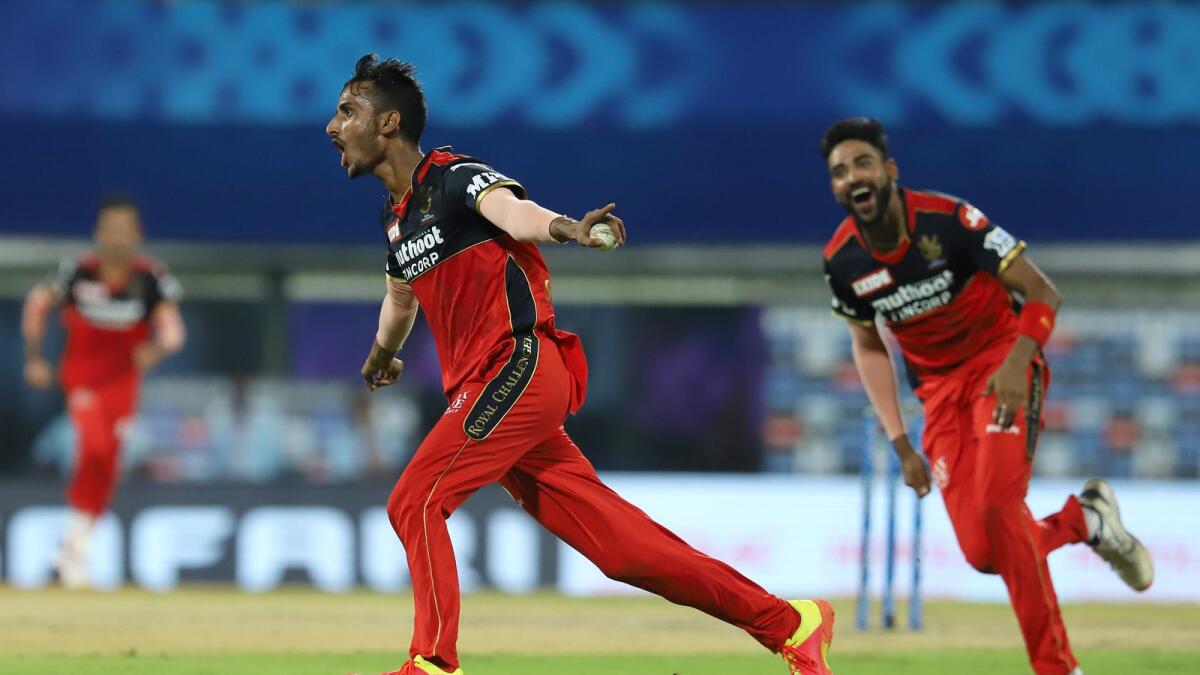Shahbaz Ahmed of the Royal Challengers Bangalore celebrates the wicket of Abdul Samad of Sunrisers Hyderabad. (IPL)
