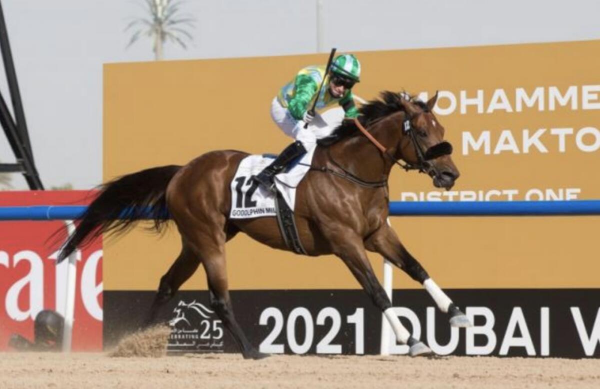 Secret Ambition will be in action on the opening day of the Dubai World Cup Carnival. — Twitter