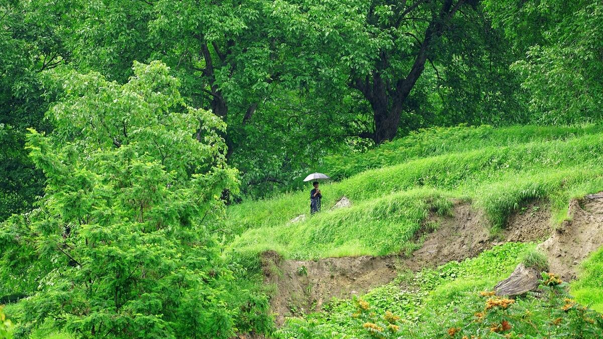 LUSH FORESTS: Kaghan Valley is a scenic wonderland.