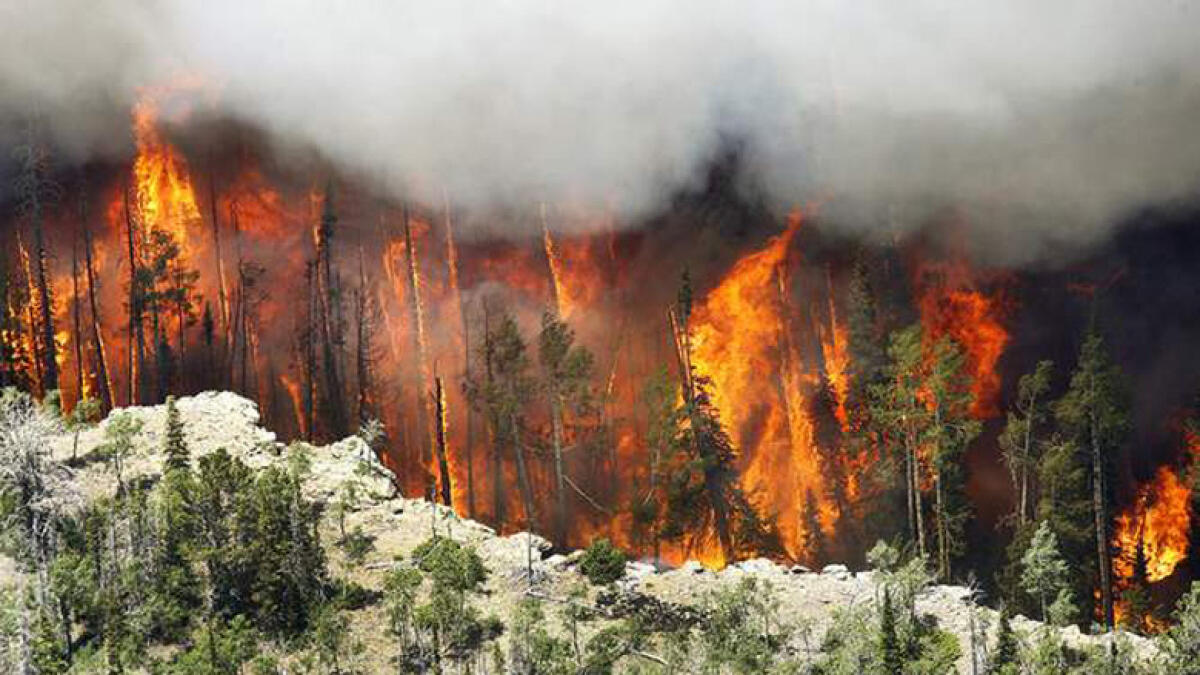 1,000 firefighters battle intense wildfire in California