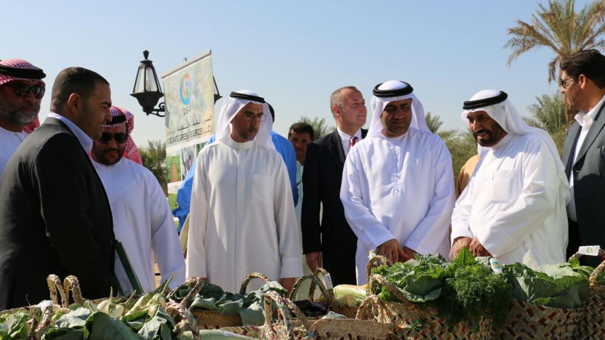 Drops of life to boost agriculture sector in Ras Al Khaimah