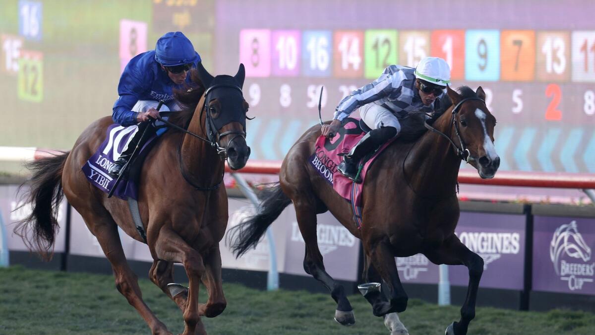 Yibir is a strong contender for the G1 Dubai Sheema Classic.