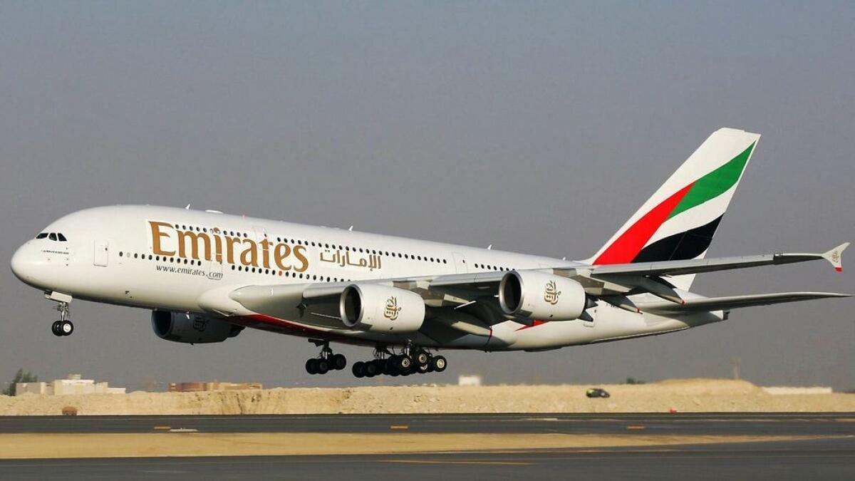 Bird strike delays Islamabad bound Emirates flight 