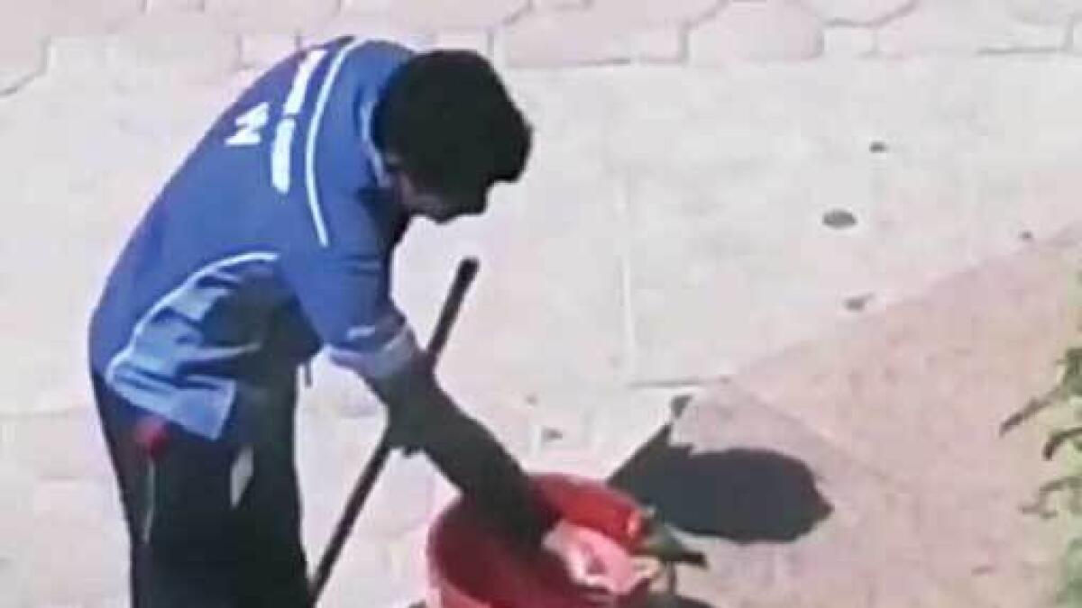 A videograb of a worker giving water to a bird in Sharjah. Residents are urged to do the same.