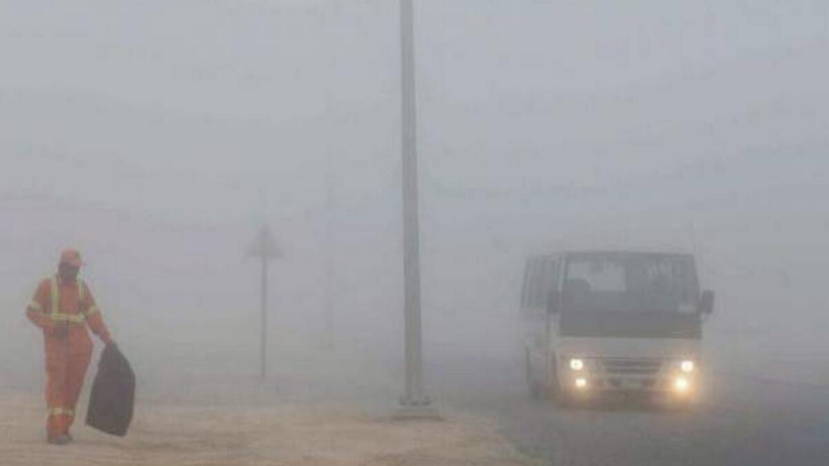 Weather: Fog wraps parts of UAE, visibility less than 500m