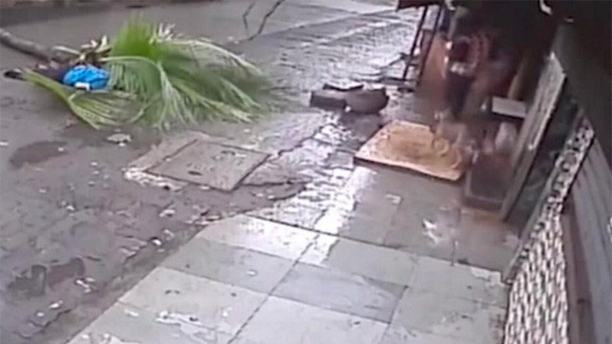 Video: Former TV anchor dies after coconut tree falls on her