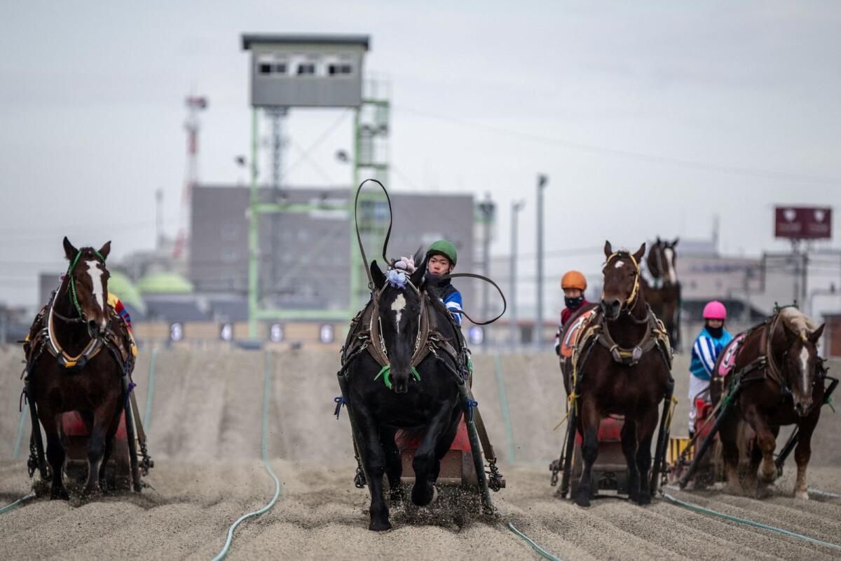 This picture taken on December 9, 2023 shows a Banei Keiba horse race at the Obihiro racecourse in Obihiro, Hokkaido Prefecture. — AFP