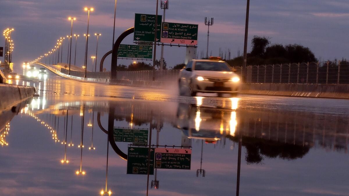 Residents alert, Report, after-rain, bugs, Dubai Municipality,