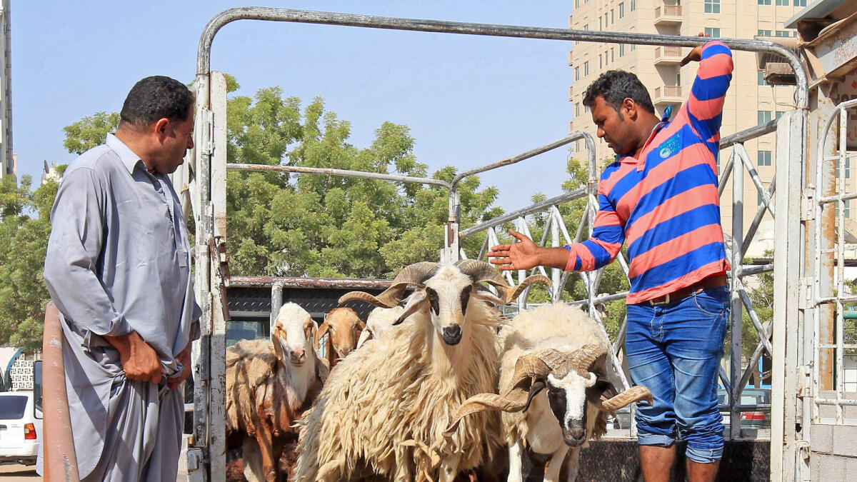 Eid rush shoots up prices of sacrificial animals by 100%