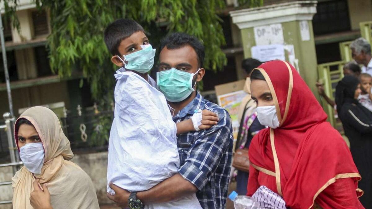 Kerala confirms Nipah virus, 86 under observation 