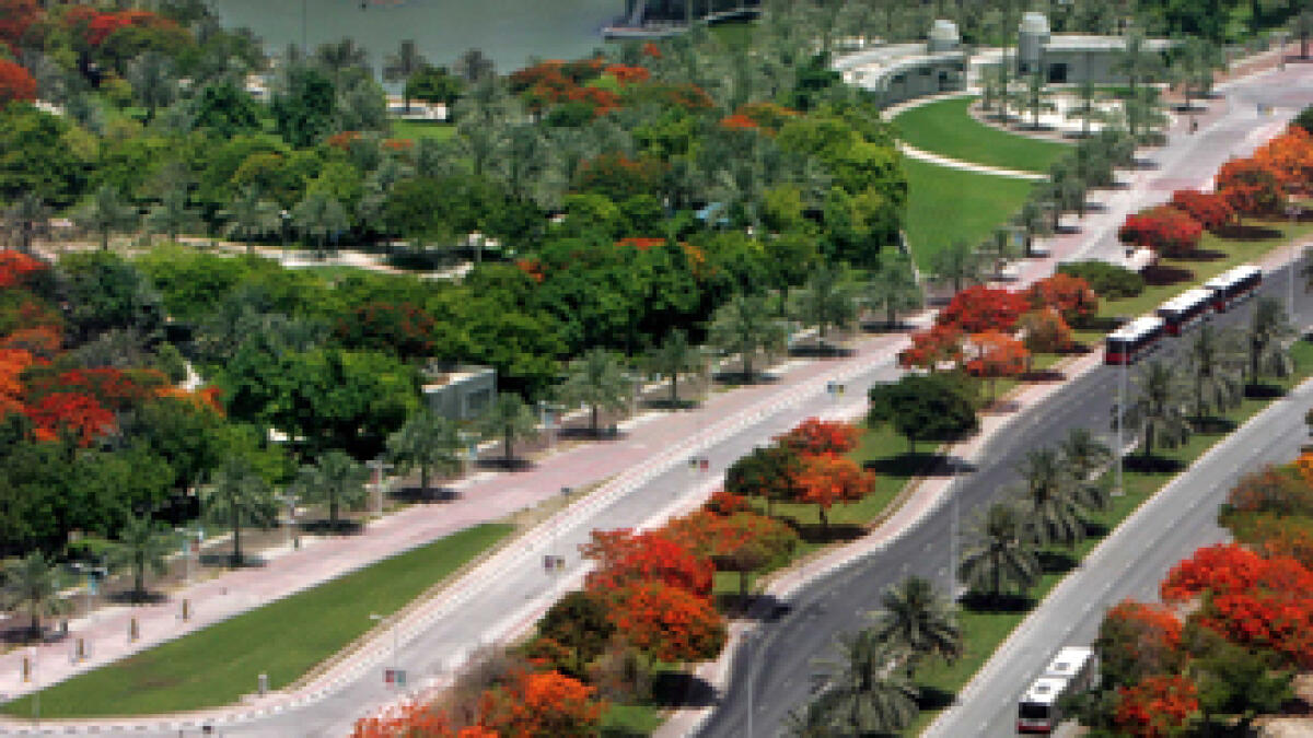 Dubai to have 12,200 hectares of green space
