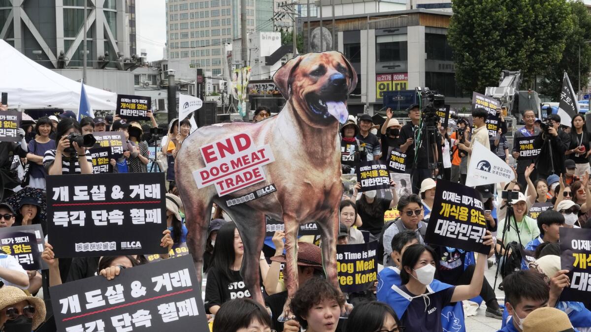 Animal rights activists stage a rally opposing South Korea's traditional culture of eating dog meat in Seoul. — AP