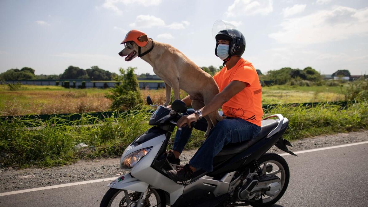 Motorcycle enthusiast Gilbert Delos Reyes rides with his dog Bogie, in Kawit, Cavite, Philippines, on Thursday.