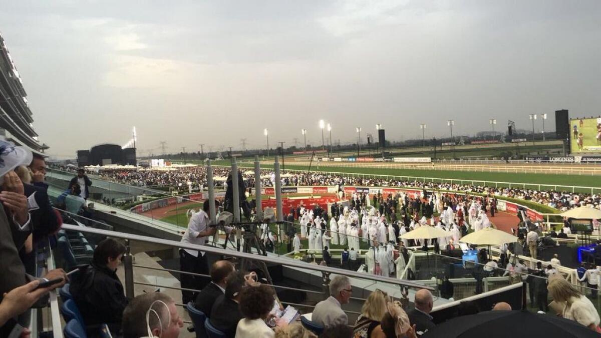 Evening view from Dubai's Meydan Racecourse.