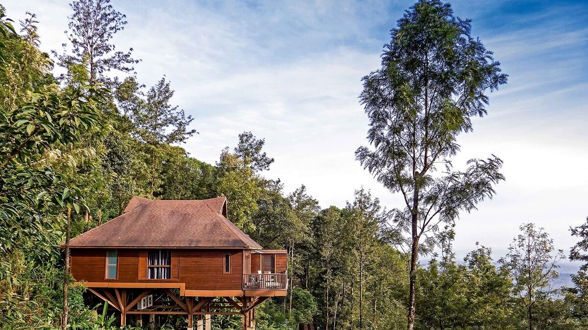 Immerse yourself in the greenery of Coorg