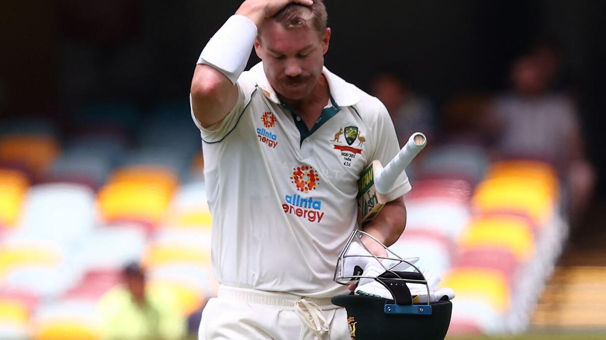 Australia's batsman David Warner. (AFP file)