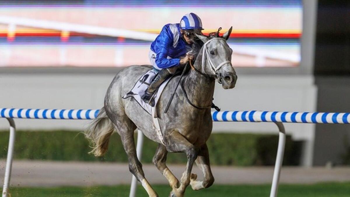 Shadwell's Mubakker was the impressive winner of the DP World UAE Sprint at Meydan Racecourse on Thursday. (Supplied photo)