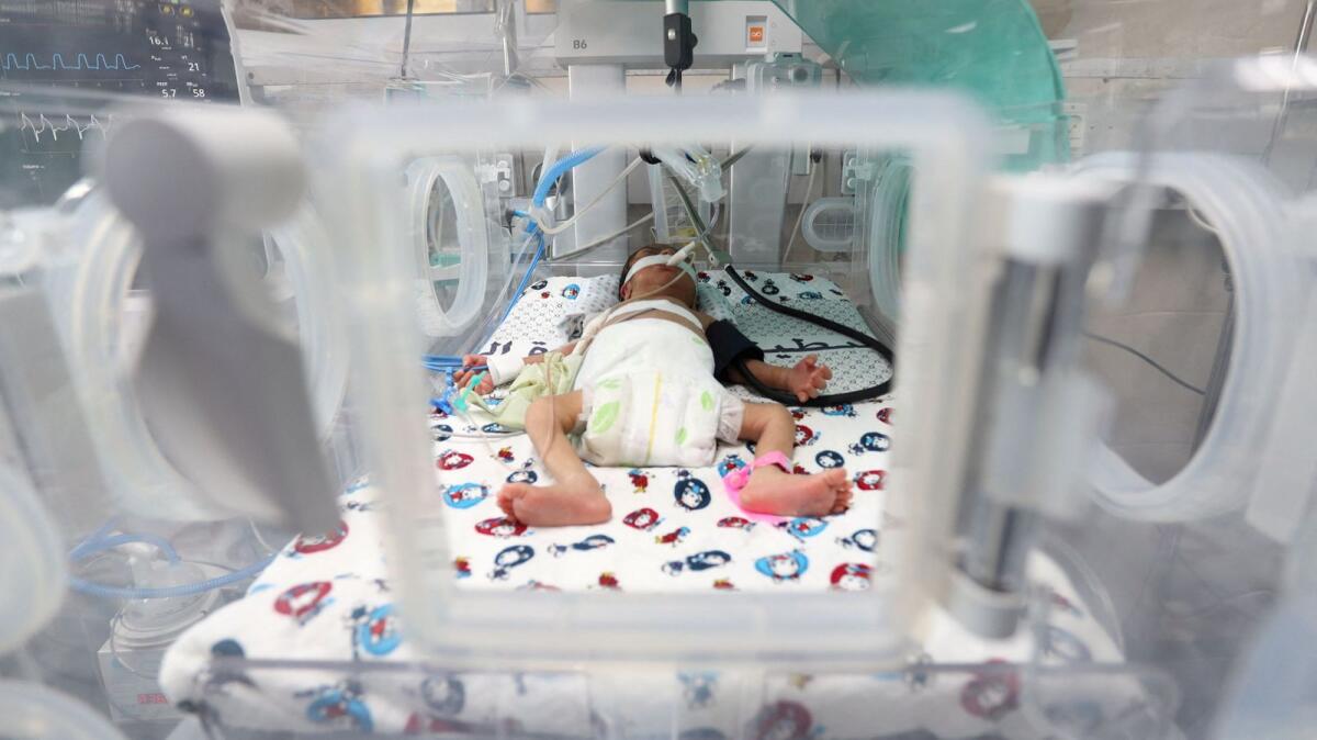 A premature Palestinian baby lies in an incubator at the maternity ward of Shifa Hospital. Photo: Reuters