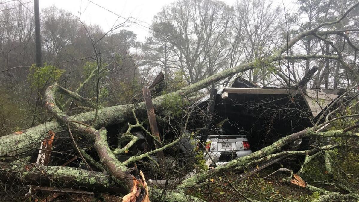Downed trees rest on a shed and vehicle belonging to Mike Herington damaged near Baxley, Ga., early Sunday, Jan. 22, 2017. 