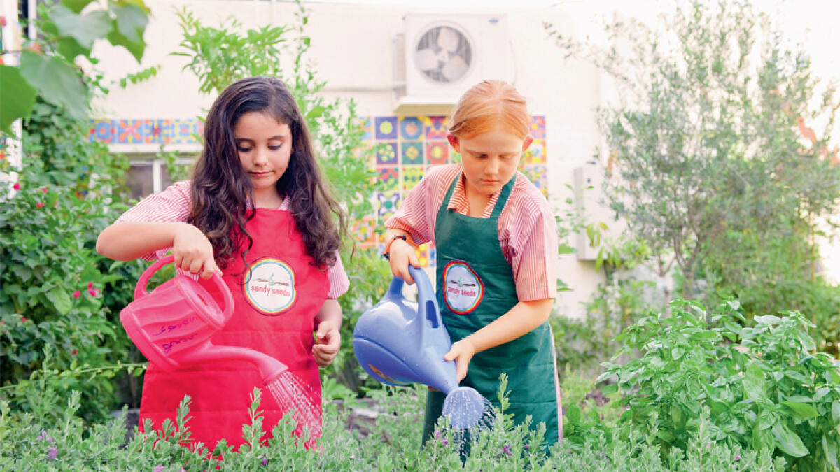 How gardens in schools can help improve unhealthy lunchboxes