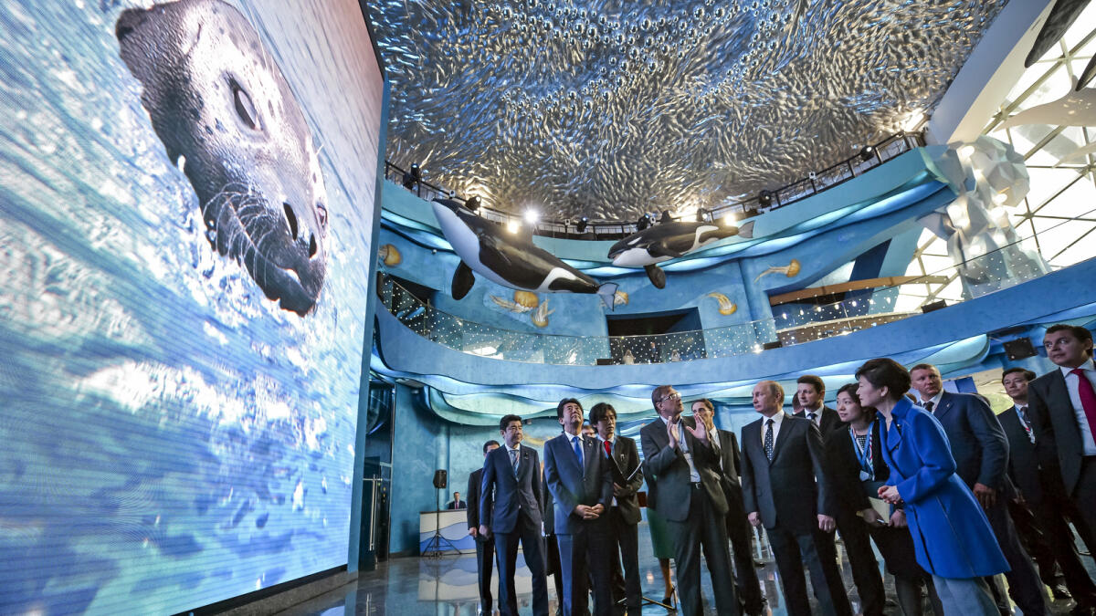 South Korean President Park Geun-hye, foreground right, Russian President Vladimir Putin, foreground second right, and Japanese Prime Minister Shinzo Abe, foreground left, look at the screen while visiting an oceanarium on Russky Island where the Eastern Economic Forum takes place in Russian Far Eastern port of Vladivostok, Russia, Saturday, Sept. 3, 2016. (Alexei Druzhinin, Sputnik, Kremlin Pool Photo via AP)
