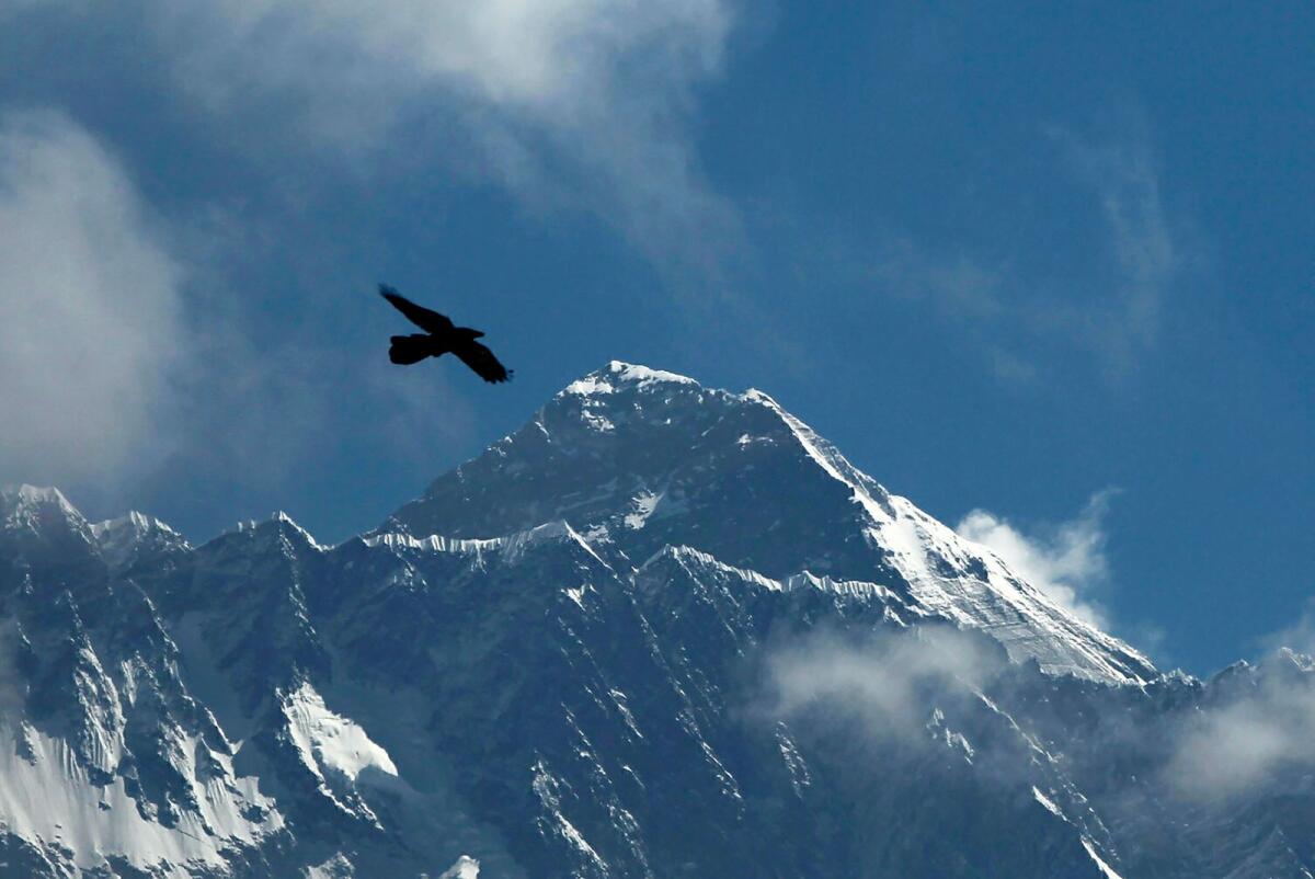 A bird flies with Mount Everest seen in the background from Namche Bajar, Solukhumbu district, Nepal, on May 27, 2019. Photo: AP