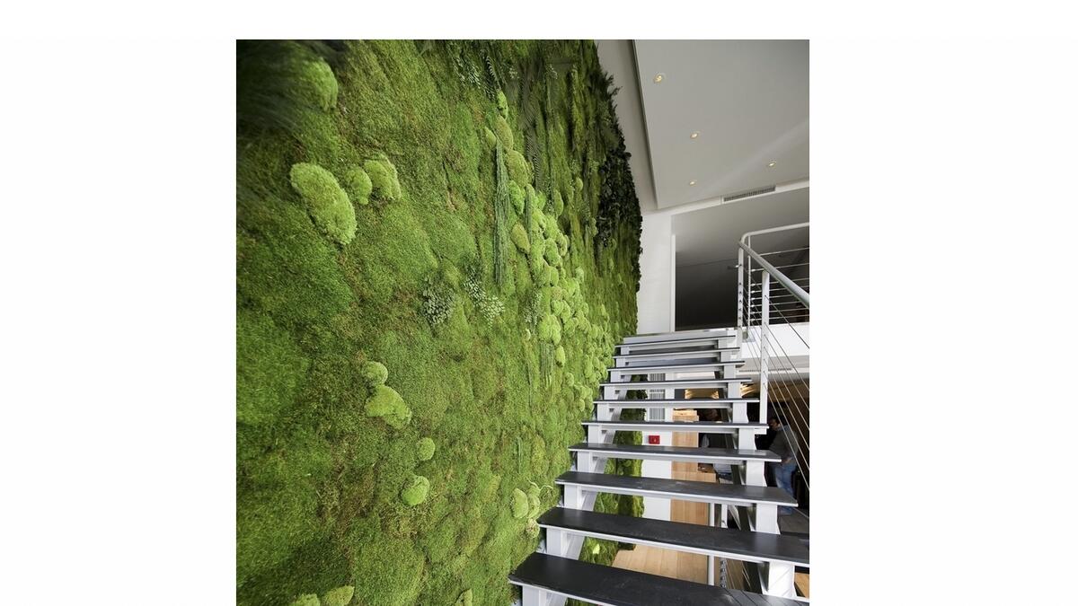 The moss wall invites greenery inside the home.