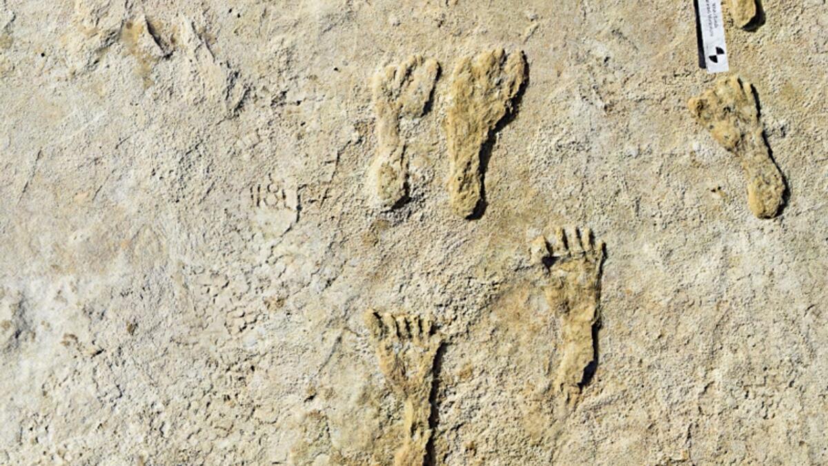 Fossilised human footprints at the White Sands National Park in New Mexico.