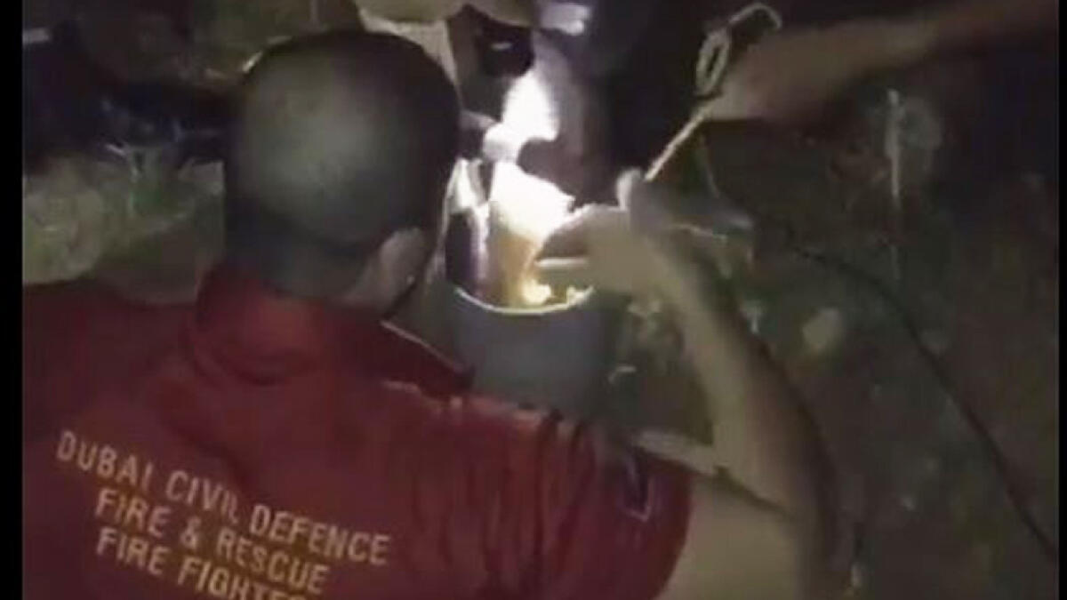 Video: Dubai Civil Defence rescues trapped kitten in 2-hour operation