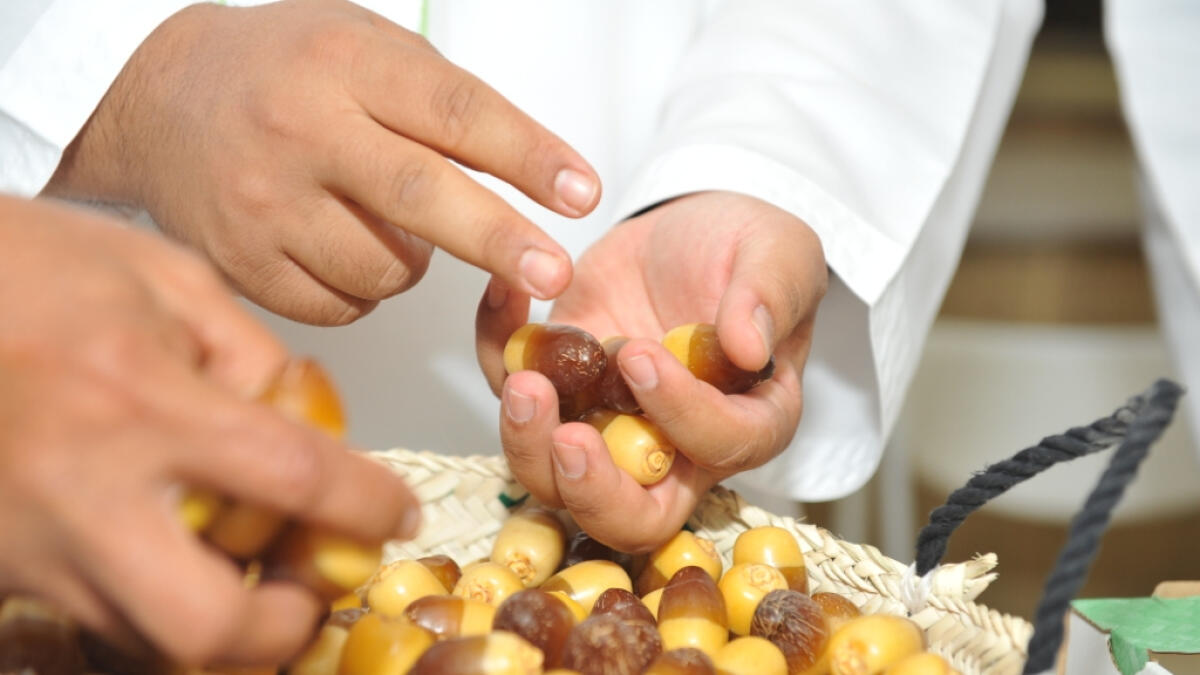 Liwa Date Festival offers ripe pickings for farmers