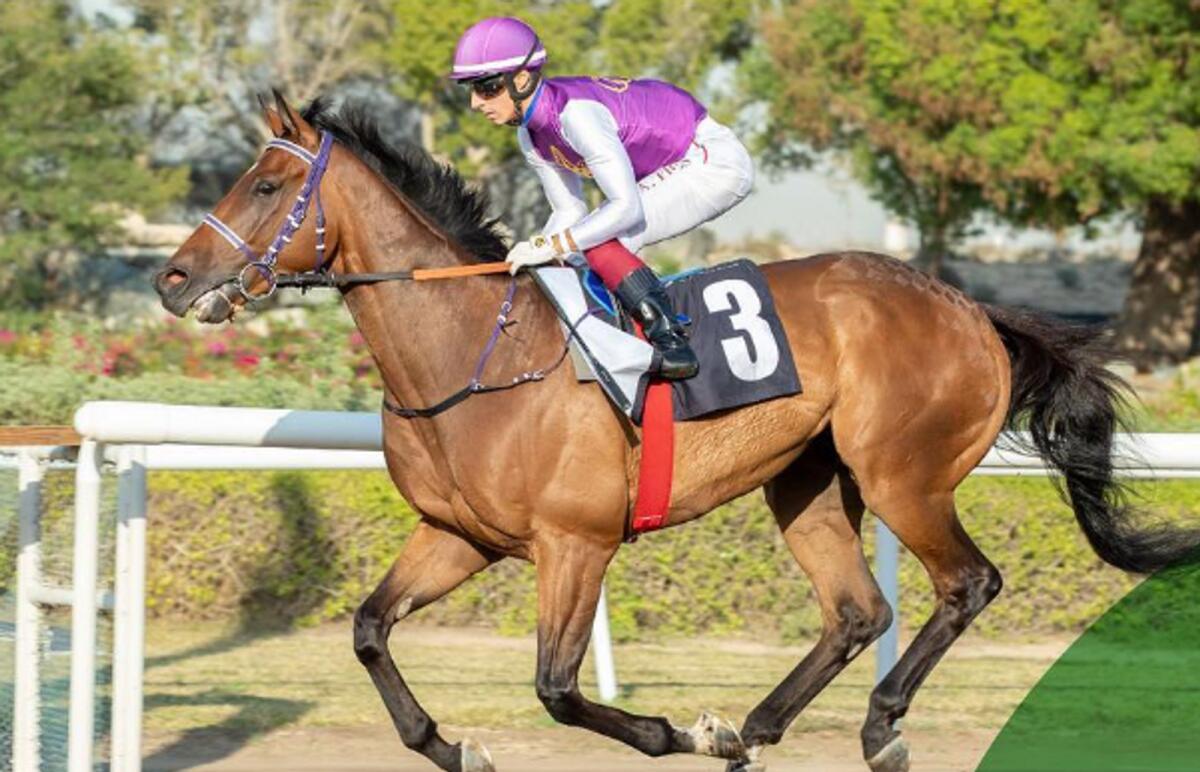 Daramethos winning the Listed Jebel Ali Stakes in 2023 under jockey Antonio Fresu. - Instagram