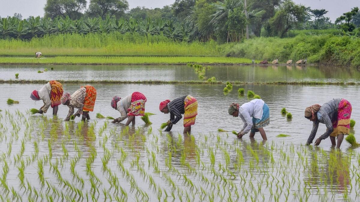 Karnataka, Land Reforms Act 1961, farmers