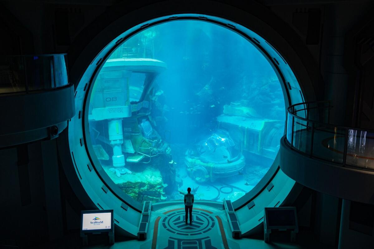 A visitor looks inside the worlds largest aquarium at SeaWorld Abu Dhabi