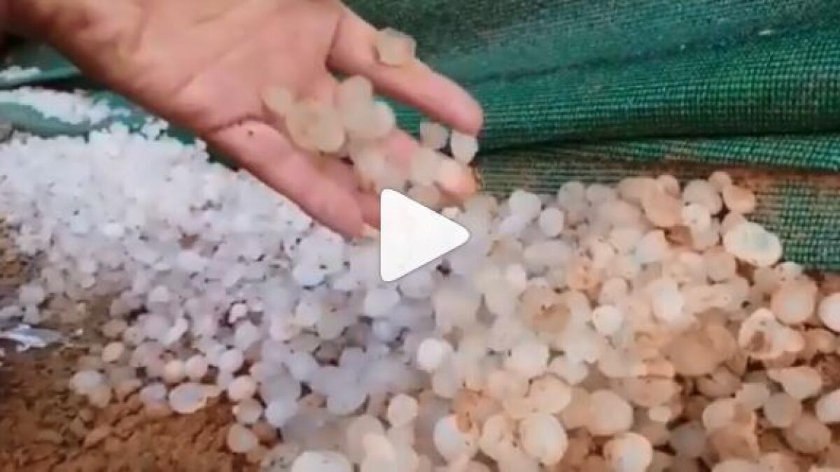 Video: Hail, rain lash parts of UAE on Sunday 