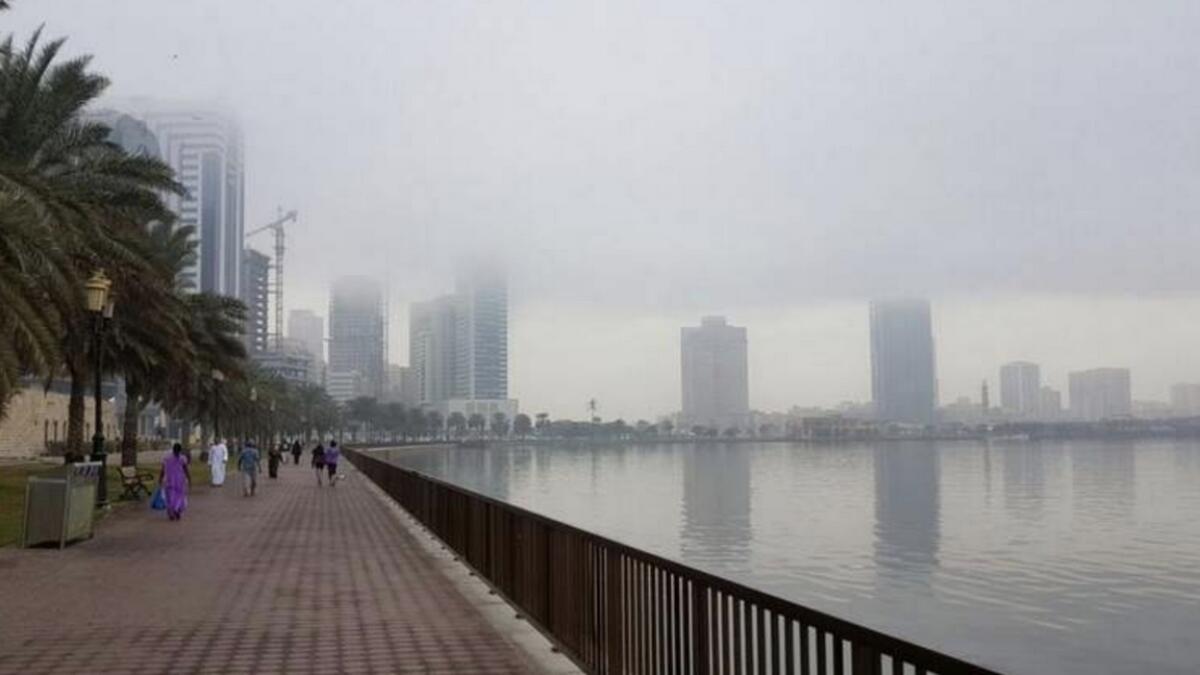 Weather: Fog covers parts of UAE, visibility less than 1,000m
