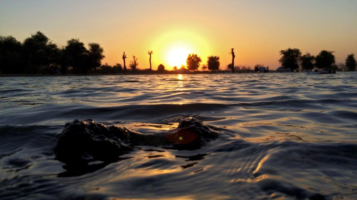 Photo: Al Qudra Lakes