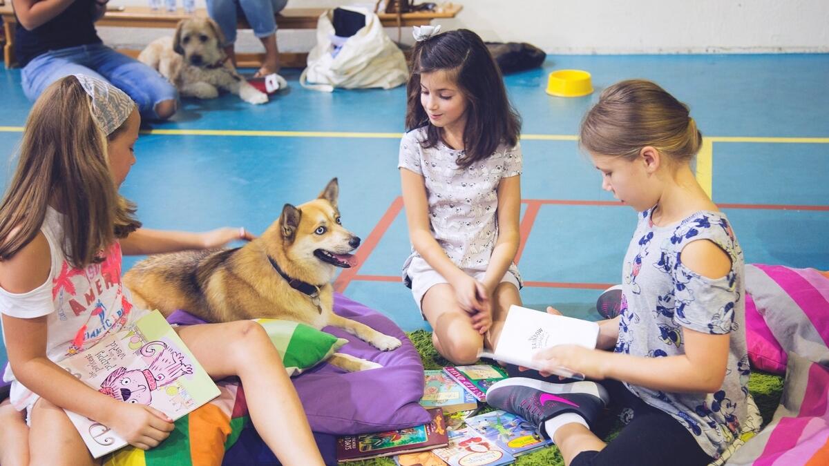  the animal-friendly reading sessions also promote a whole host of social and emotional benefits.