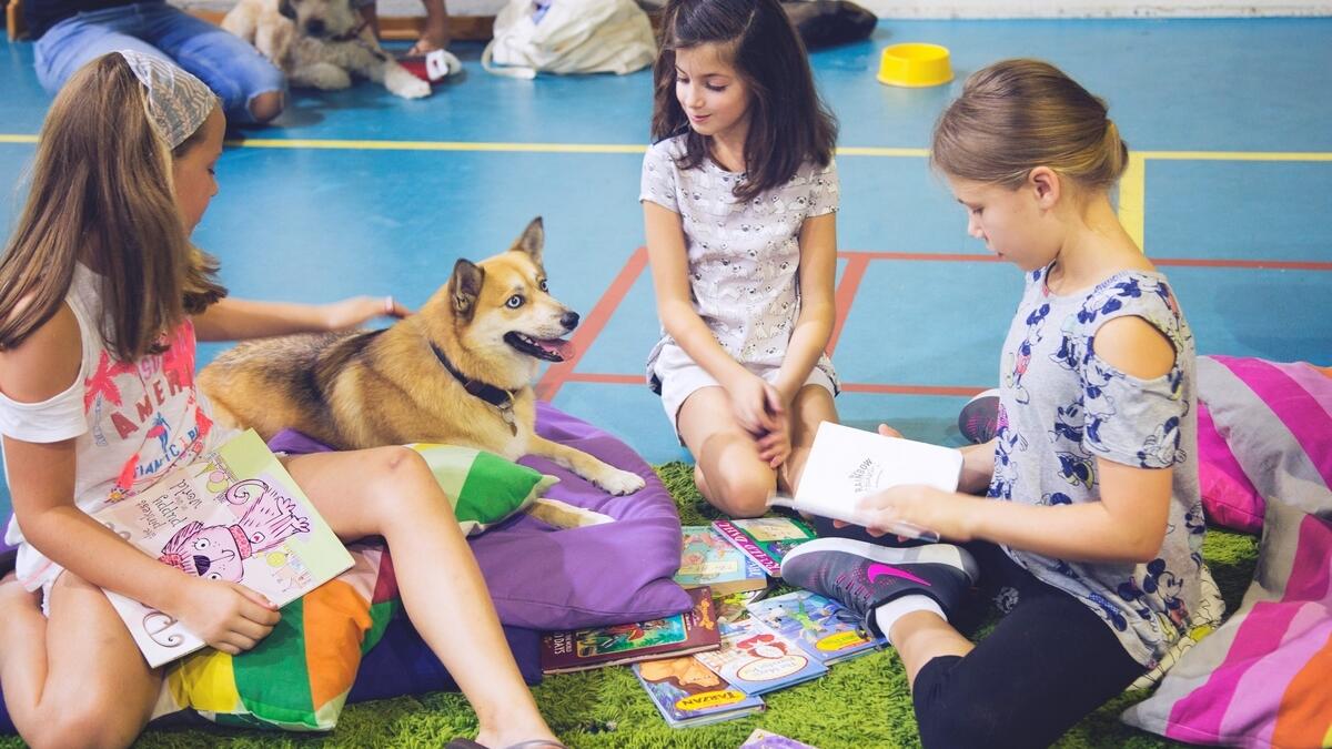  the animal-friendly reading sessions also promote a whole host of social and emotional benefits.