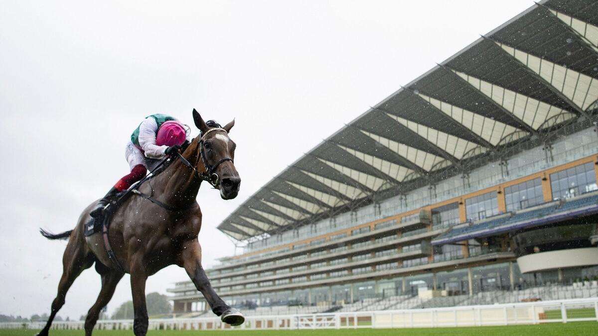 Enable won an historic third King George VI and Queen Elizabeth Stakes on Saturday in sizzling style