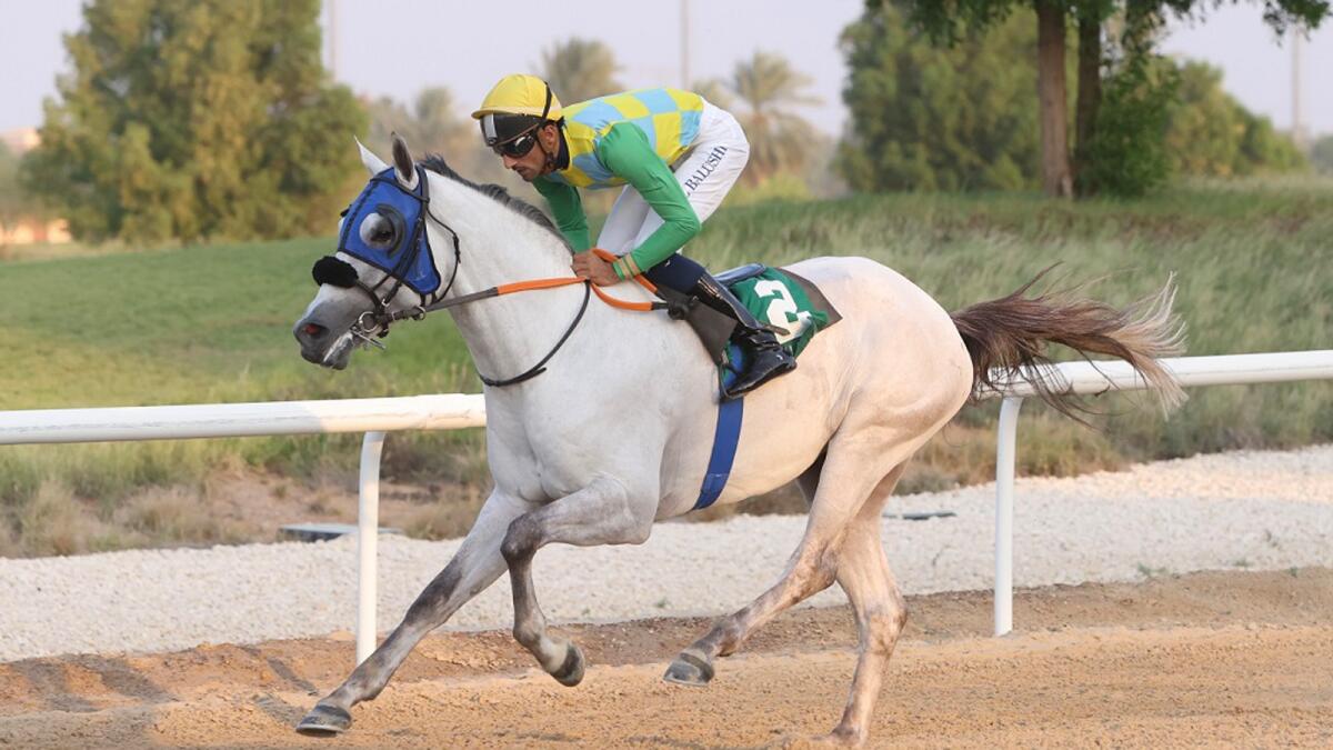 Abdulaziz Al Balushi rides Qased Sb to victory in Al Ain on Friday. — ERA