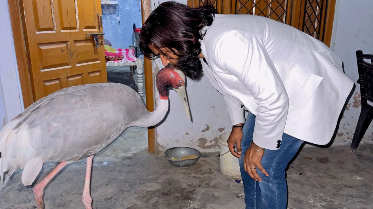 Indian farmer Mohammad Arif with Sarus crane at his residence in Amethi, Uttar Pradesh, on March 6, 2023. — AFP