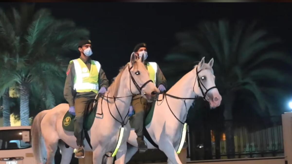crime, police, Dubai, UAE, Mounted Police, horses, car theft
