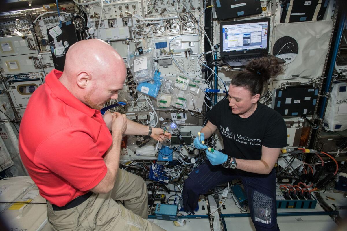 European Space Agency astronaut Alexander Gerst and Nasa astronaut Serena Auñón-Chancellor conduct a blood sample draw for Functional Immune. Credit: Nasa
