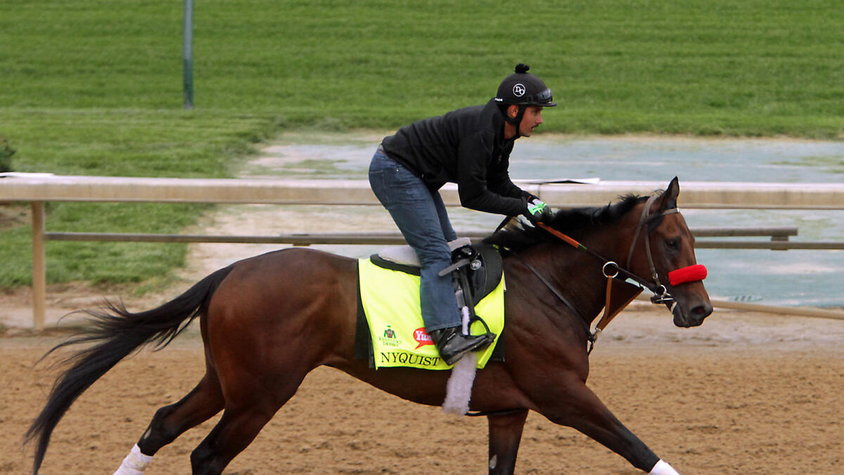 In-form Nyquist fancied for Kentucky Derby