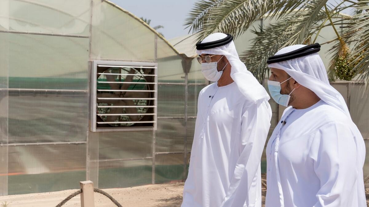 Photos, Sheikh Mohamed bin Zayed, wowed, UAE, agri-tech, visits farm