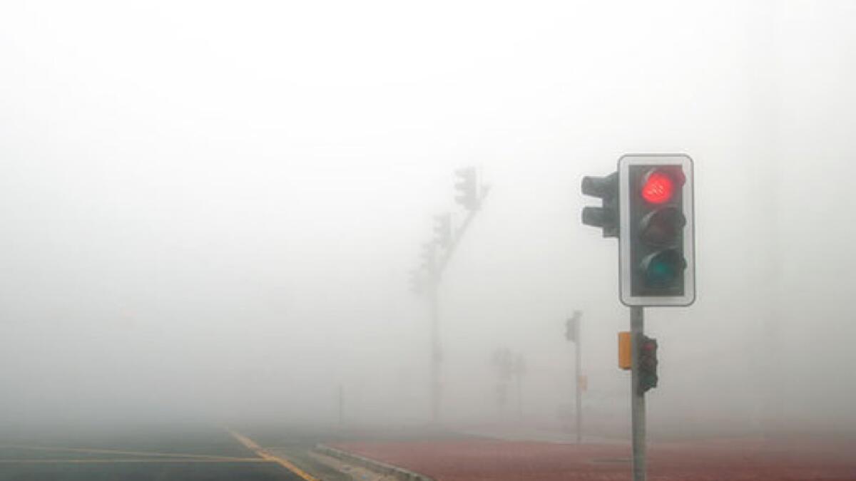 UAE police step up efforts to reduce fog accidents
